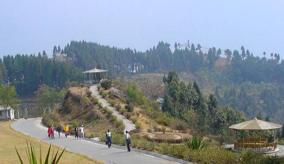 1467718748_0pong 1.jpg